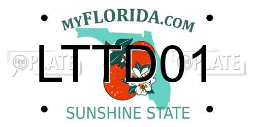 LTTD01 Florida License Plate