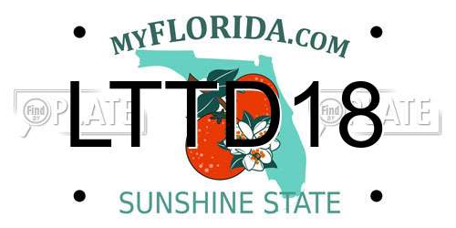 LTTD18 Florida License Plate