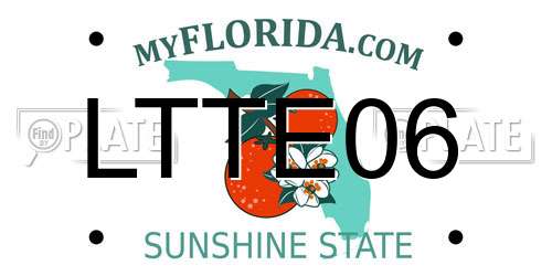 LTTE06 Florida License Plate