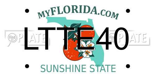 LTTE40 Florida License Plate