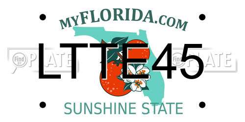 LTTE45 Florida License Plate