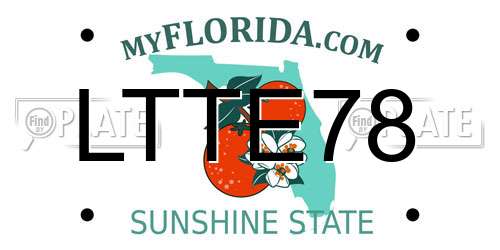 LTTE78 Florida License Plate