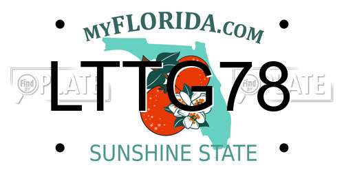 LTTG78 Florida License Plate