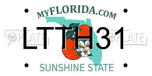 LTTH31 Florida License Plate