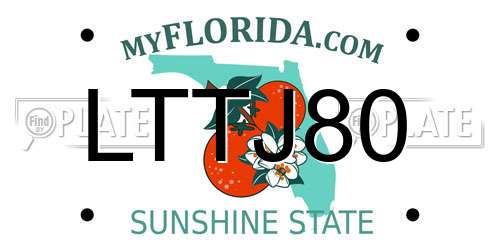 LTTJ80 Florida License Plate