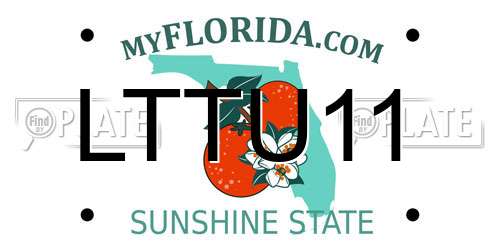 LTTU11 Florida License Plate