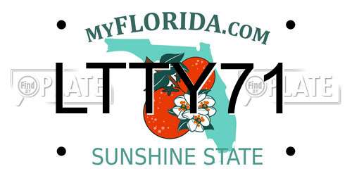 LTTY71 Florida License Plate