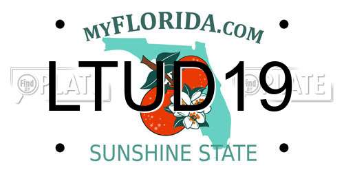 LTUD19 Florida License Plate