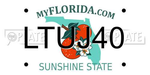 LTUJ40 Florida License Plate