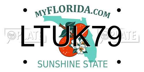 LTUK79 Florida License Plate