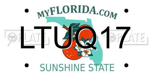 LTUQ17 Florida License Plate