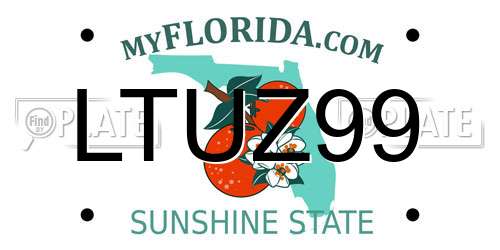 LTUZ99 Florida License Plate
