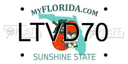 LTVD70 Florida License Plate