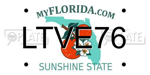 LTVE76 Florida License Plate