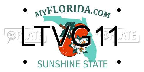 LTVG11 Florida License Plate