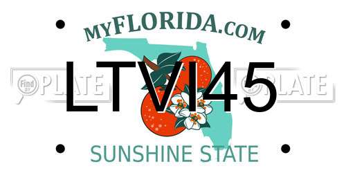 LTVI45 Florida License Plate