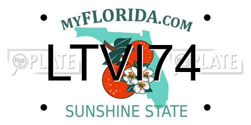LTVI74 Florida License Plate