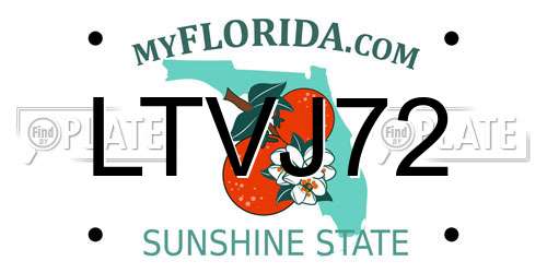LTVJ72 Florida License Plate