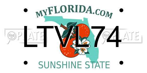 LTVL74 Florida License Plate