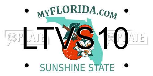 LTVS10 Florida License Plate