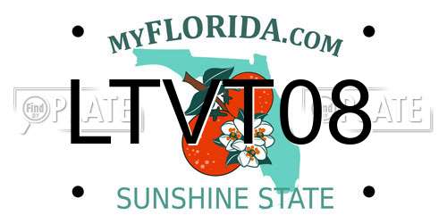LTVT08 Florida License Plate