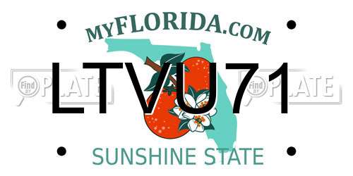 LTVU71 Florida License Plate