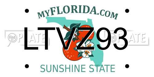 LTVZ93 Florida License Plate