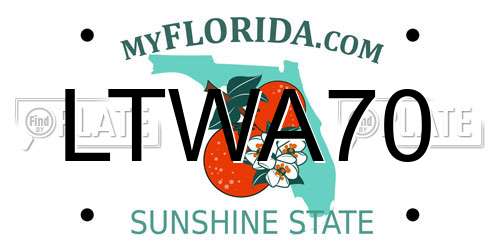 LTWA70 Florida License Plate