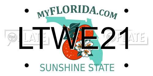 LTWE21 Florida License Plate