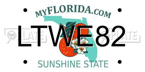 LTWE82 Florida License Plate
