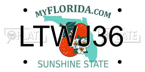 LTWJ36 Florida License Plate