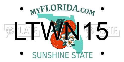 LTWN15 Florida License Plate