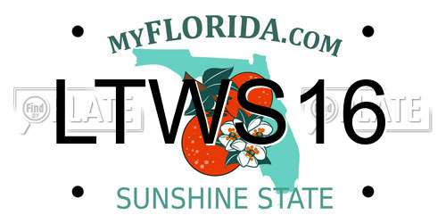 LTWS16 Florida License Plate