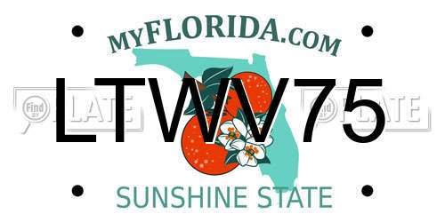 LTWV75 Florida License Plate