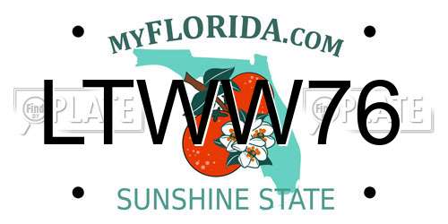 LTWW76 Florida License Plate