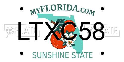 LTXC58 Florida License Plate
