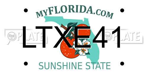 LTXE41 Florida License Plate