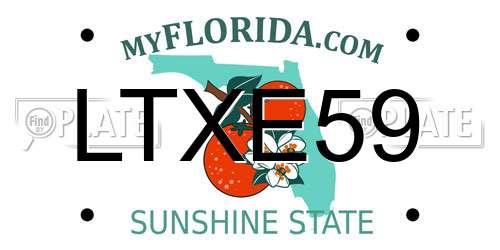 LTXE59 Florida License Plate