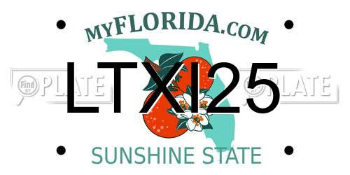 LTXI25 Florida License Plate