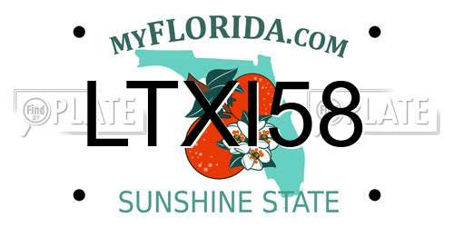 LTXI58 Florida License Plate