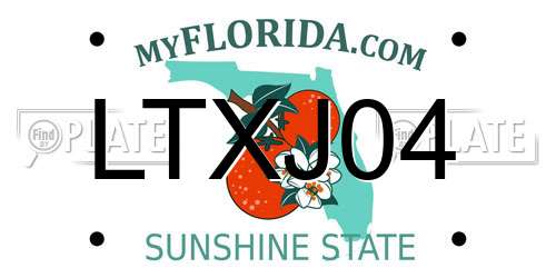 LTXJ04 Florida License Plate
