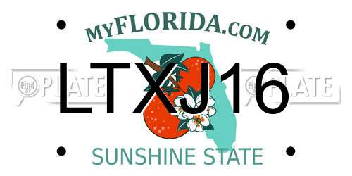 LTXJ16 Florida License Plate