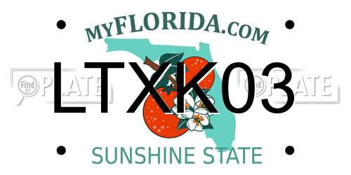 LTXK03 Florida License Plate