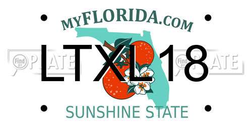 LTXL18 Florida License Plate