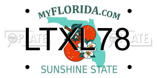 LTXL78 Florida License Plate