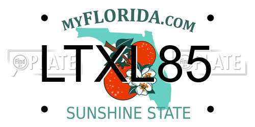 LTXL85 Florida License Plate