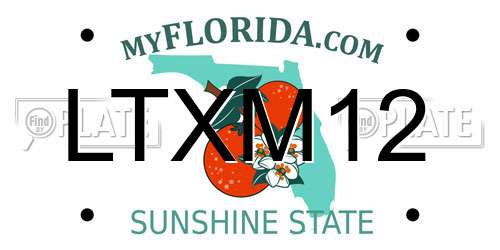 LTXM12 Florida License Plate