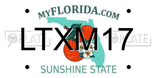 LTXM17 Florida License Plate