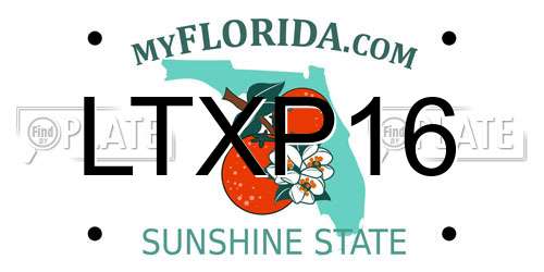 LTXP16 Florida License Plate