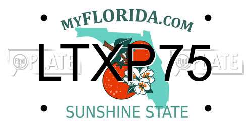 LTXP75 Florida License Plate
